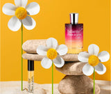 Magnolia_Bliss_lifestyle_Duo