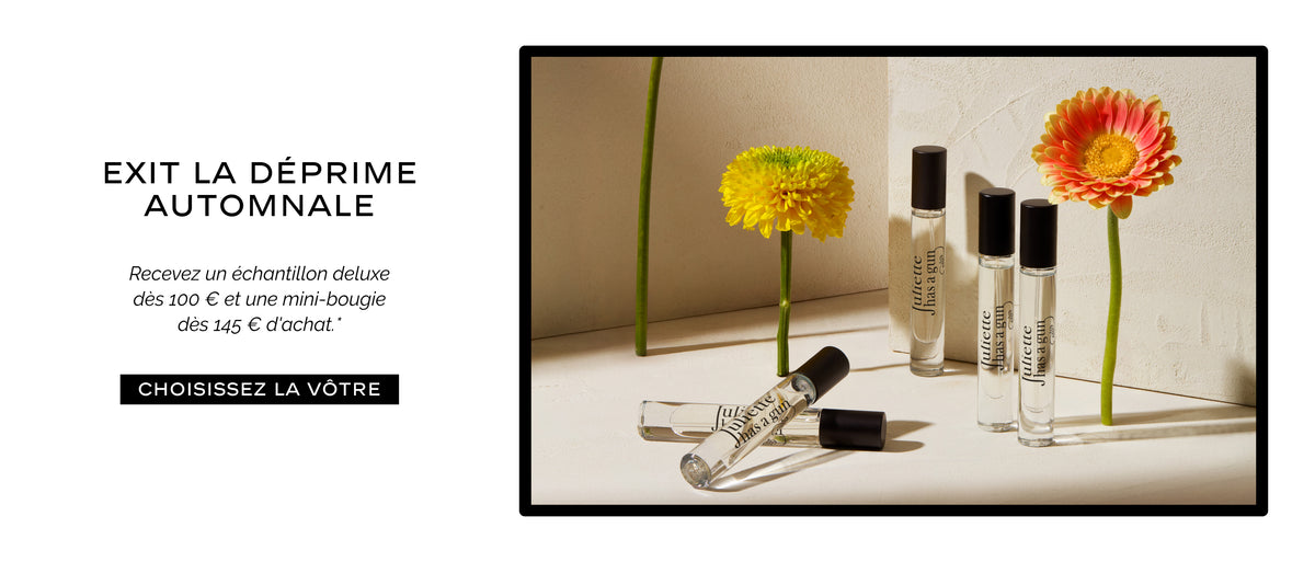 Offre d'automne banner Desktop