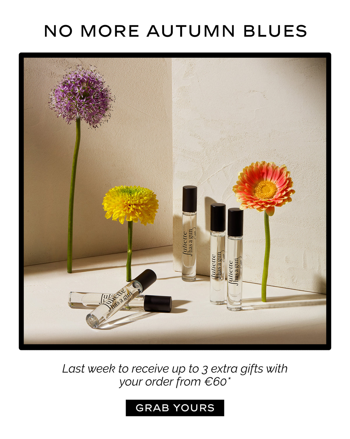 Autumn offer last week